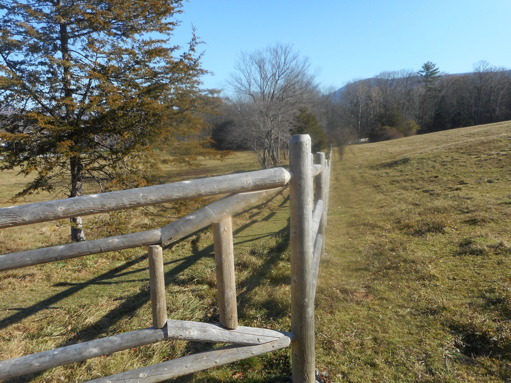 Clark.fence.JPG